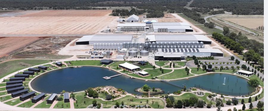 Riverina Field Days