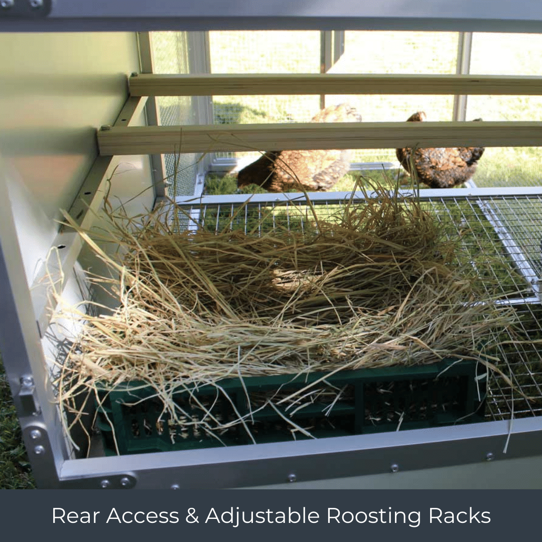 Mobile Chicken Coop / Chicken Tractor